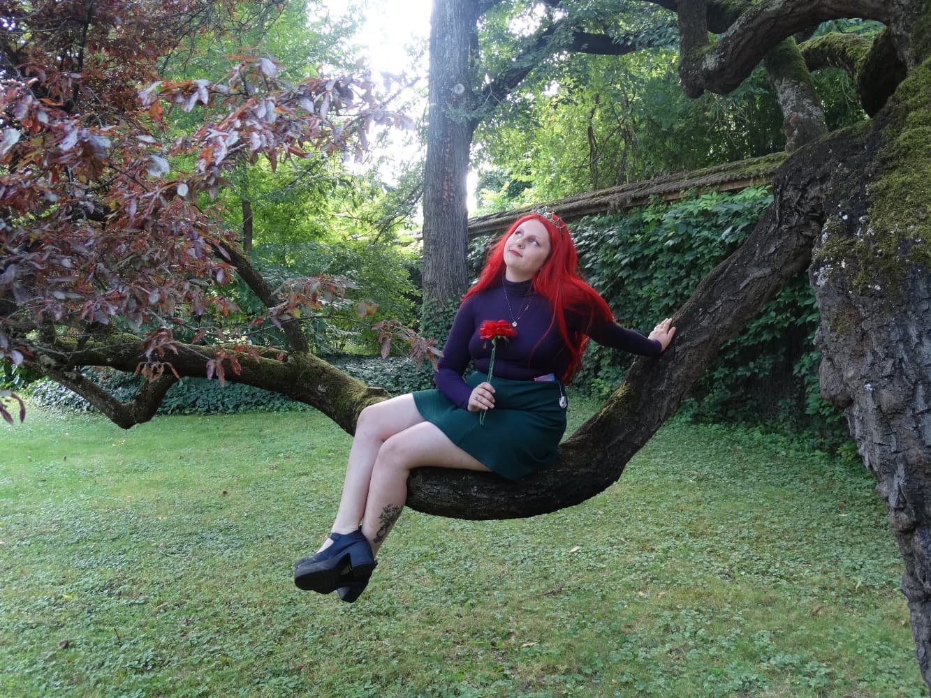 Ariel vrs humaine - Photo 1