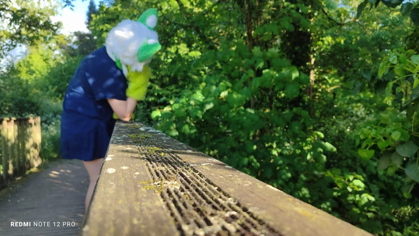 Debut du printemps  - Photo 24