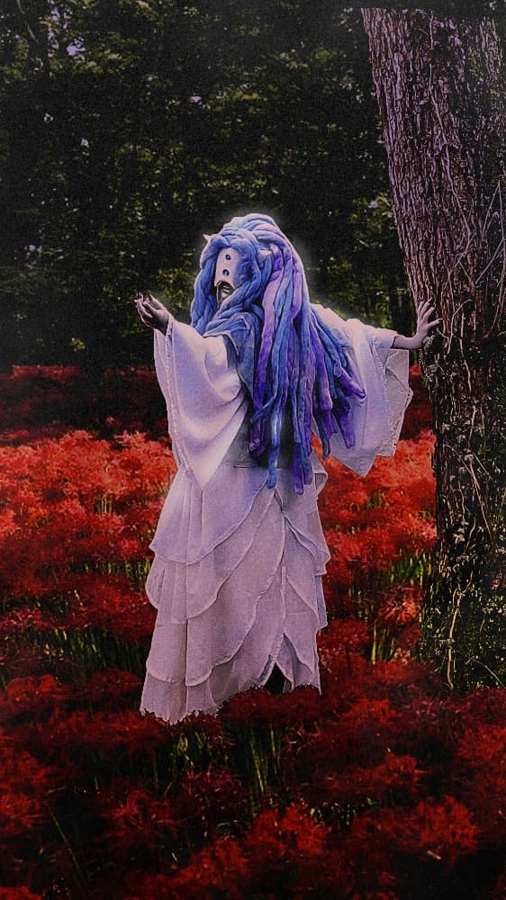 Mujika 1  - Photo 12