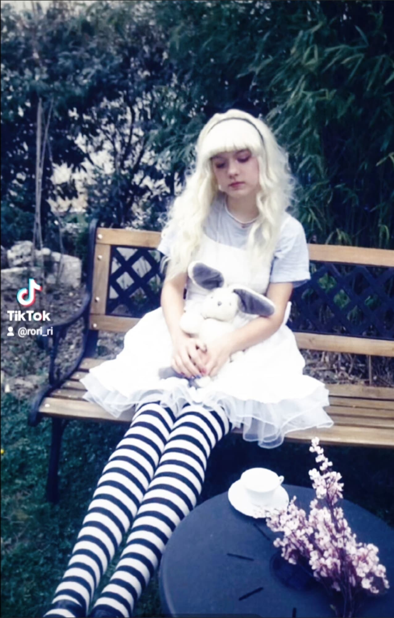 ALICE  - Photo 13