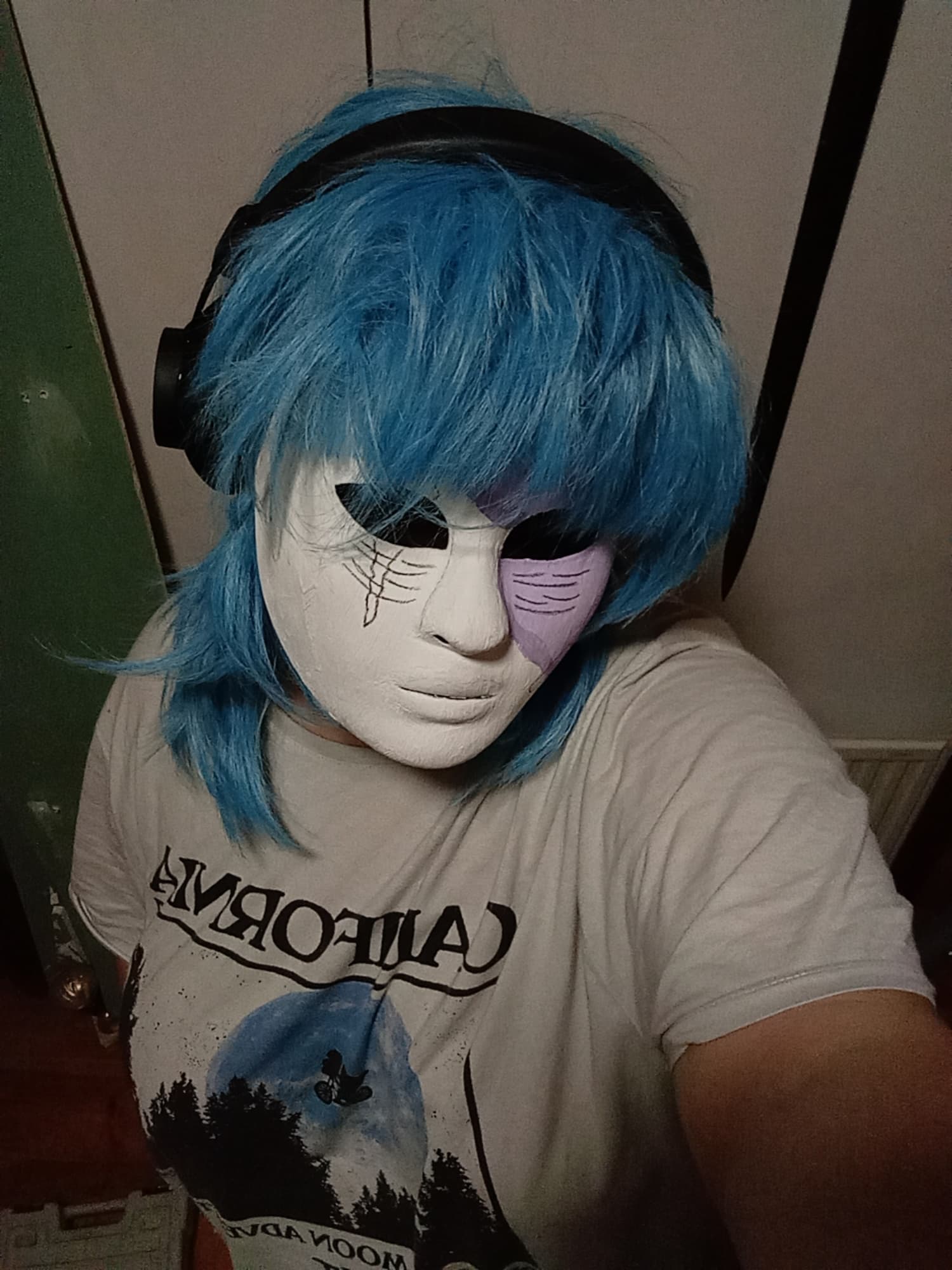 Sally face - Photo 2