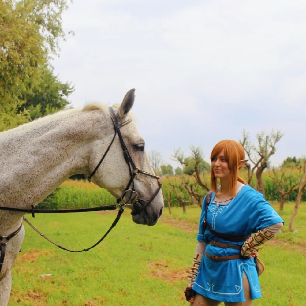 Link (Botw) - Photo 2