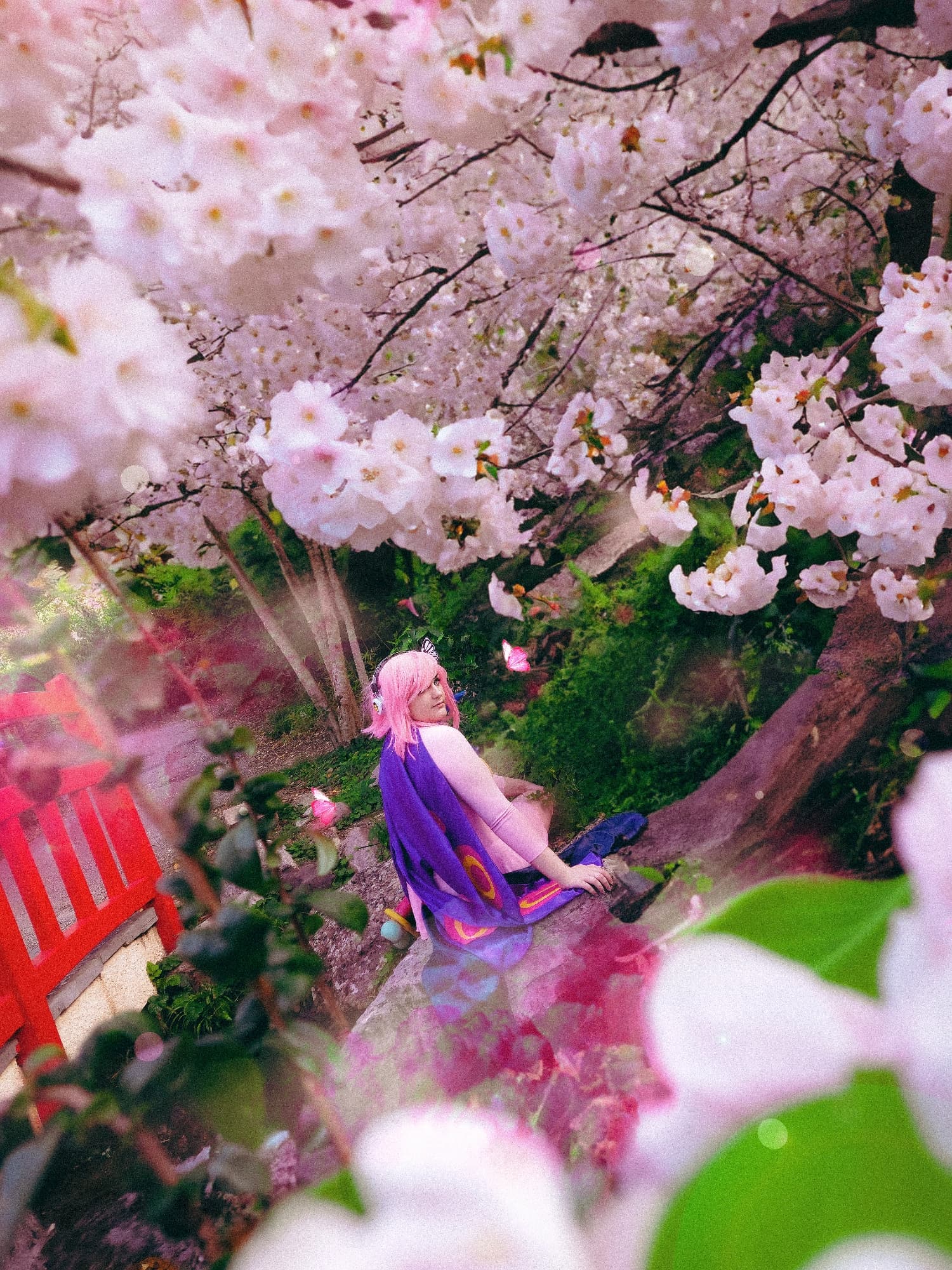 Reiju Vinsmoke - Photo 4