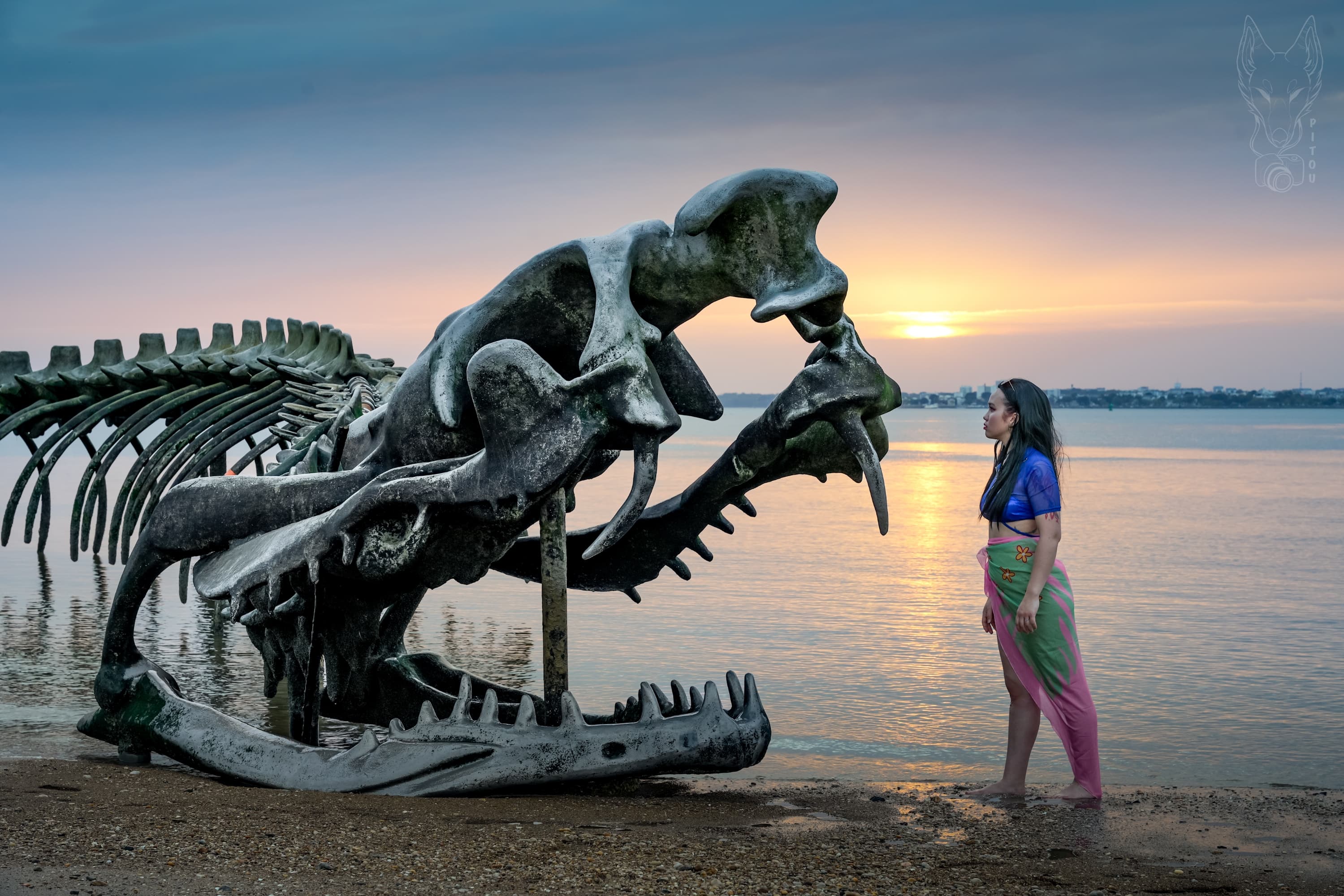 Nico Robin swimsuit - Photo 11