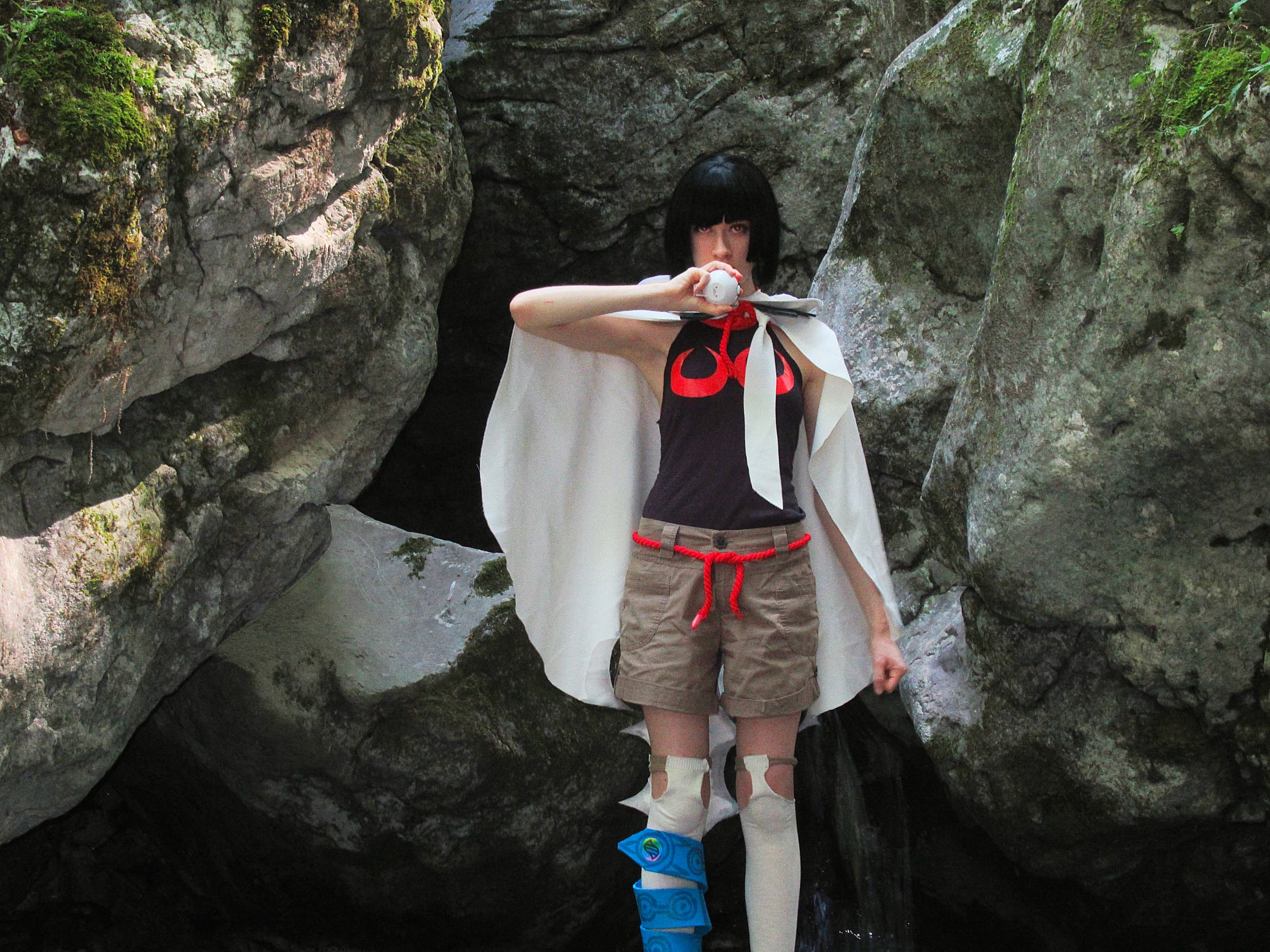 Amaryllis P1  - Photo 7