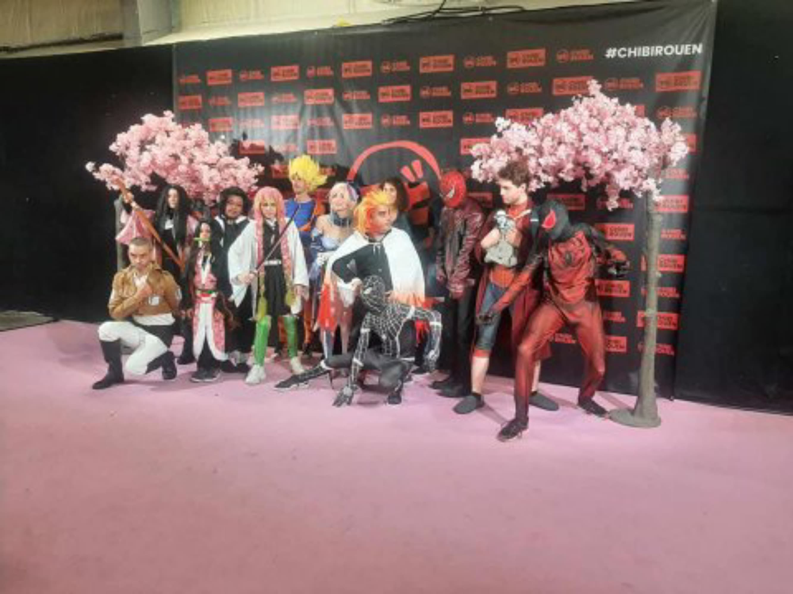 Chibi Rouen 24 dim - Photo 5