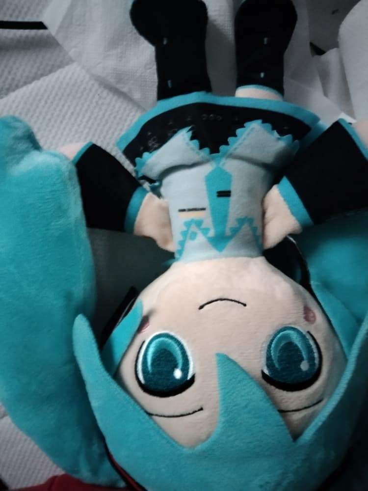 Mikudayooo - Photo 4