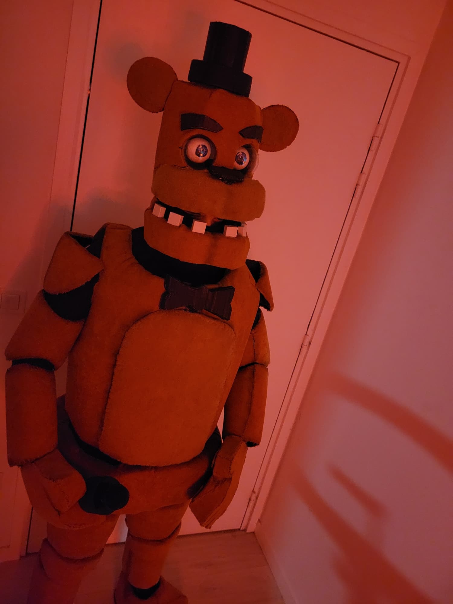Freddy  - Photo 7
