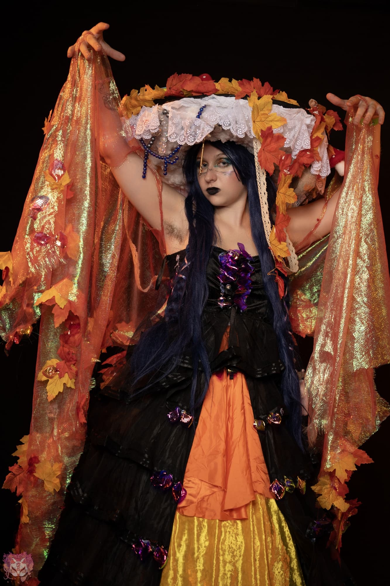 Aerys - Automne - Photo 2