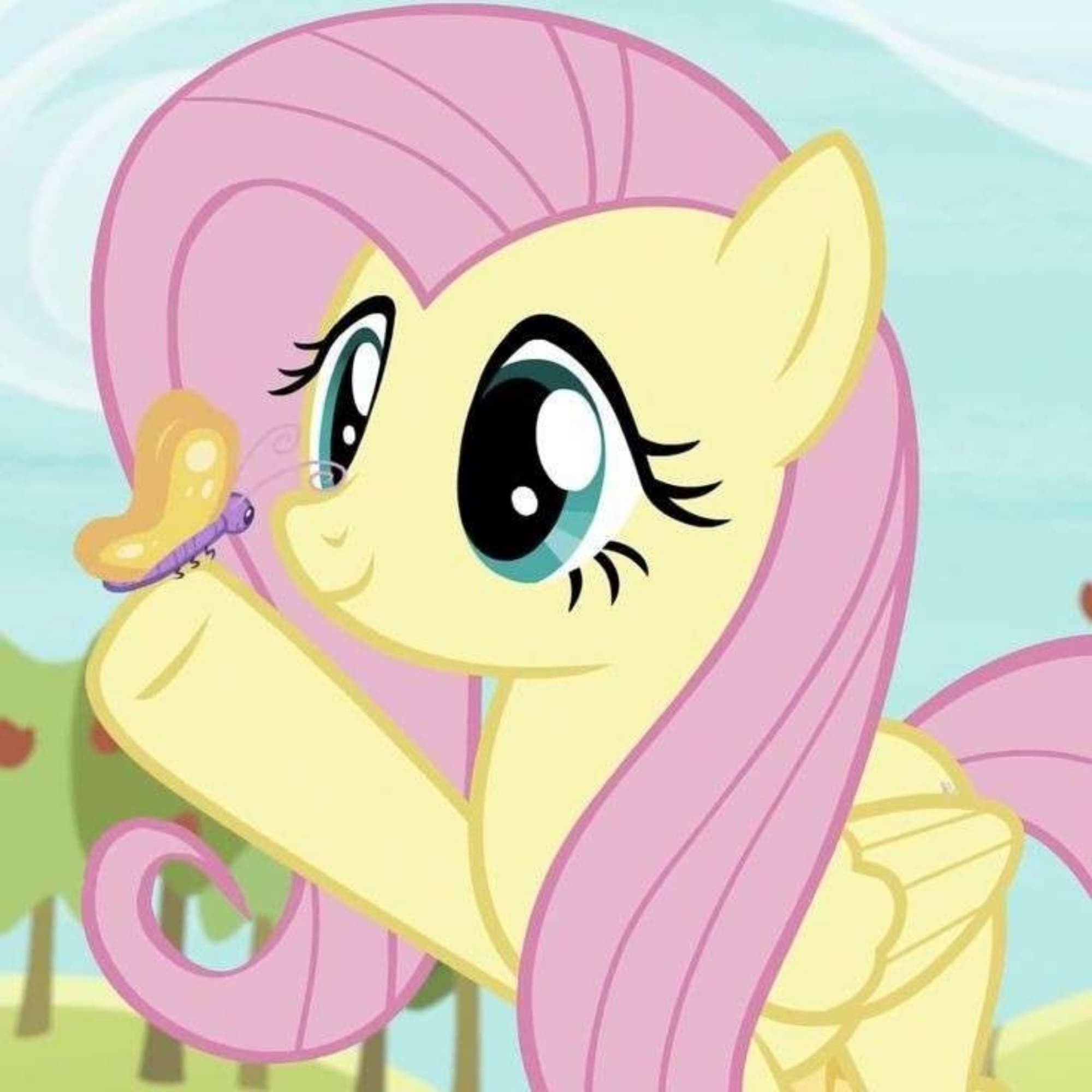 Flutter shy