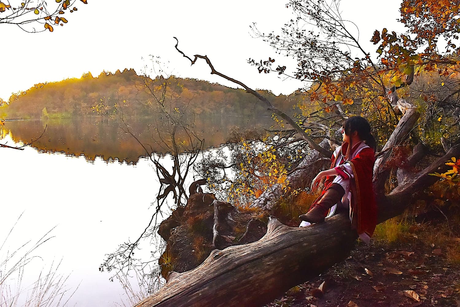 San Lang Forest 2023 - Photo 3