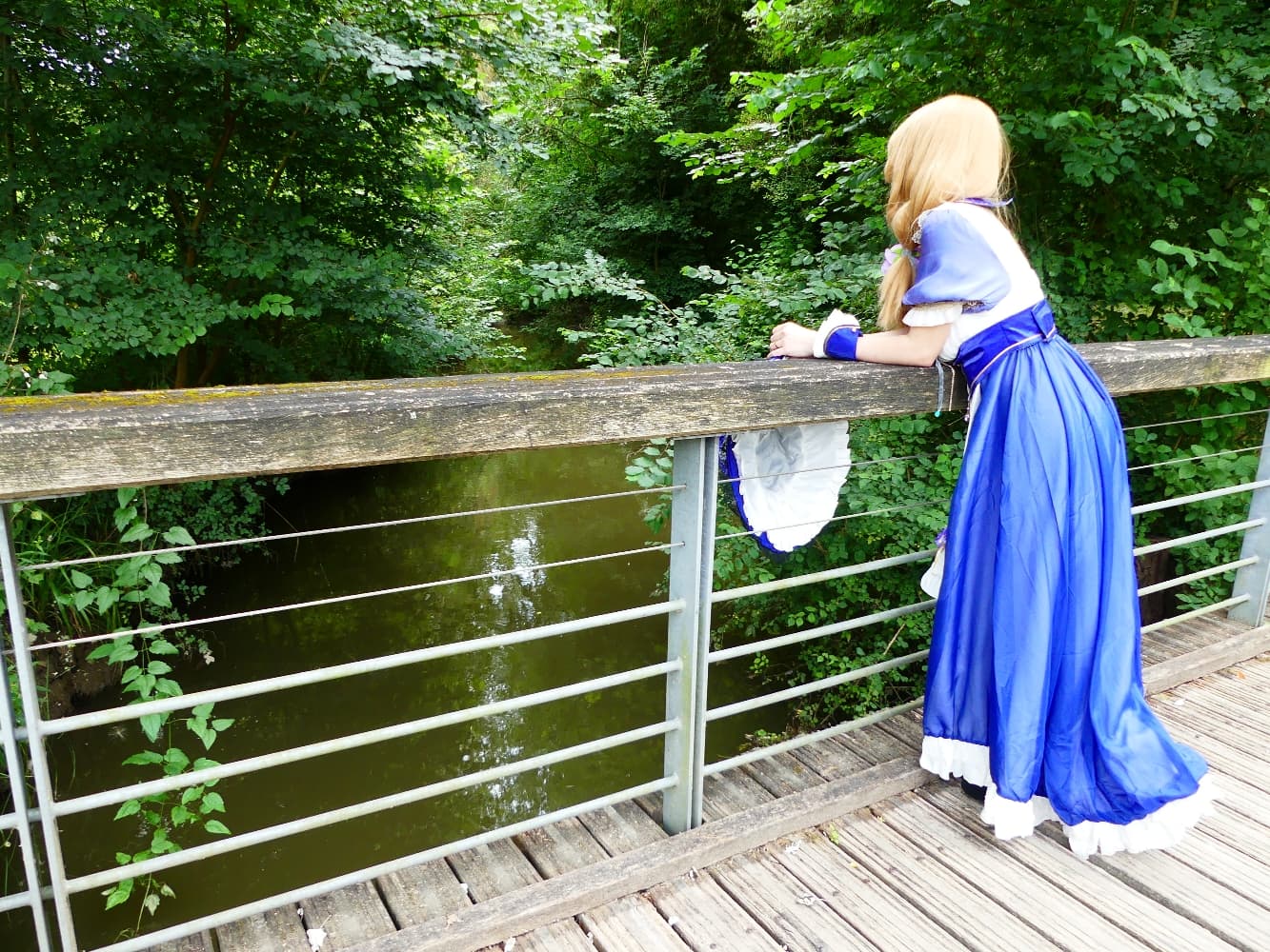 Lisa (maid ver)  - Photo 25