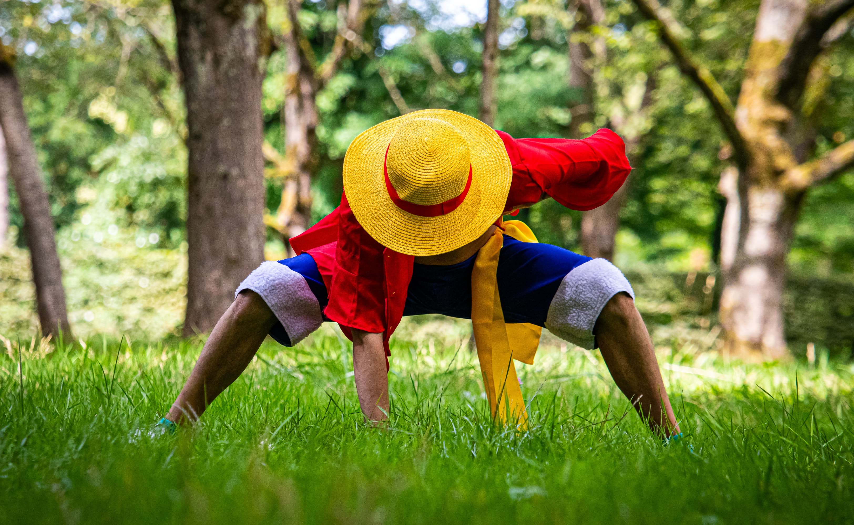 Monkey D Luffy - Photo 4