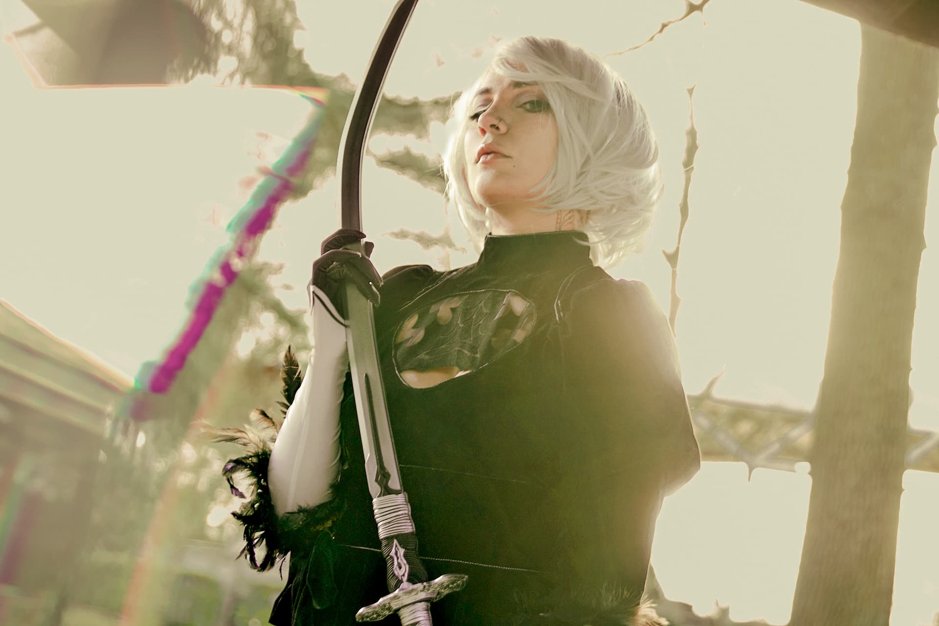 2b - Photo 6