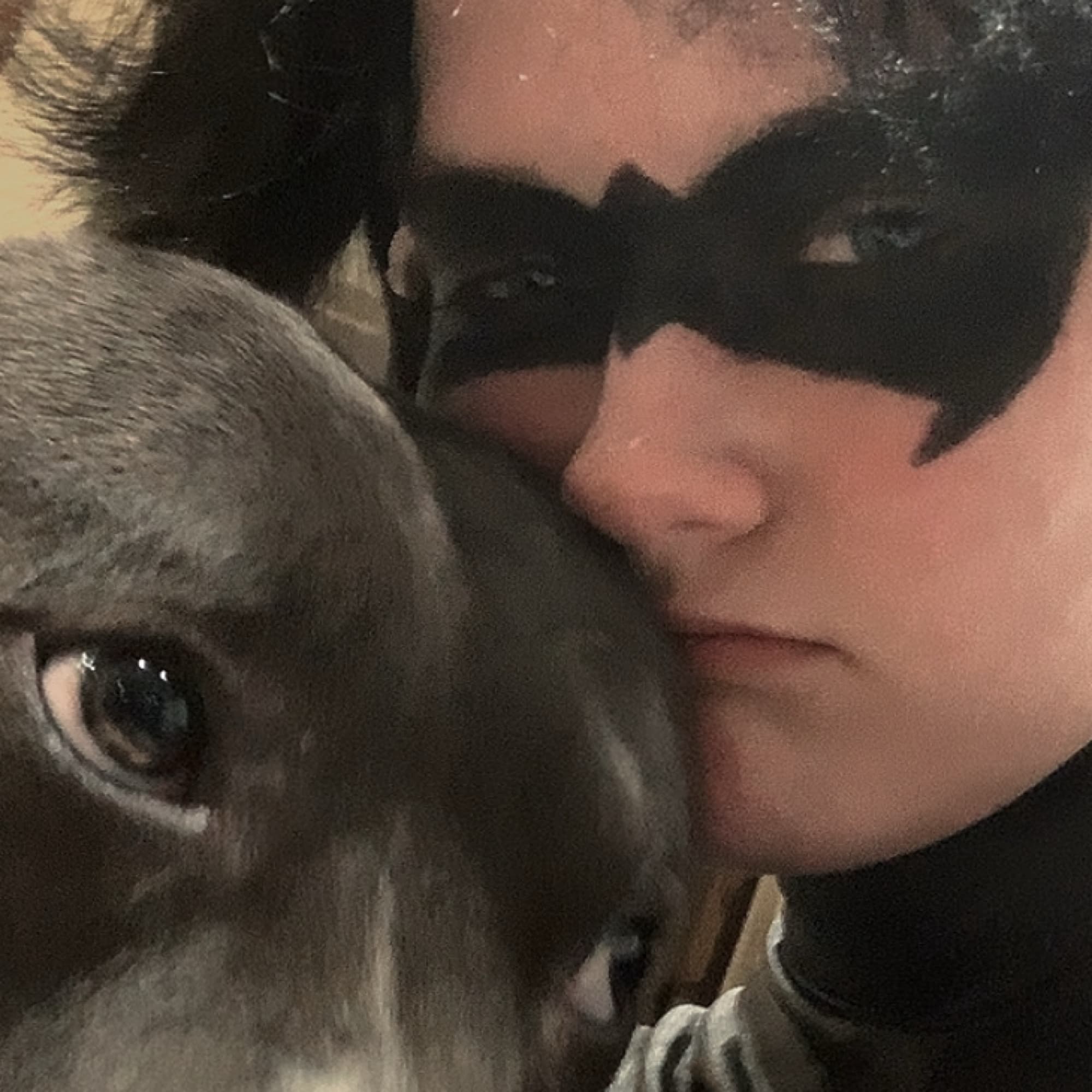 Nightwing - DC Comics cosplay photoshoot cover