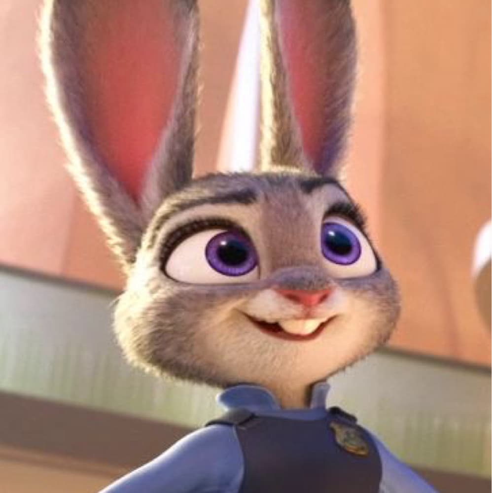 Judy 
