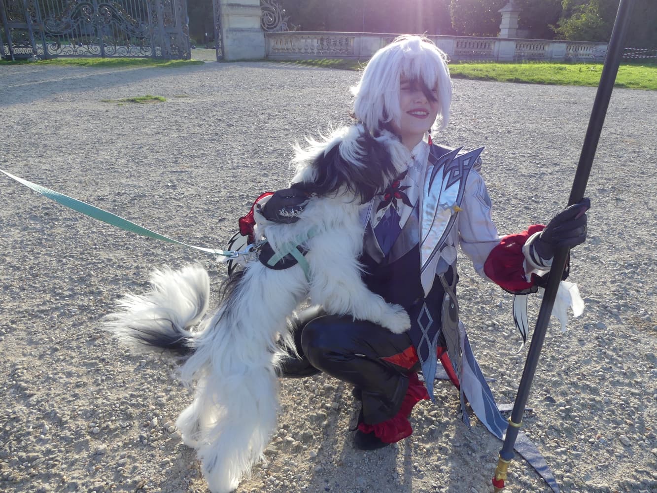 Arlecchino  - Photo 6