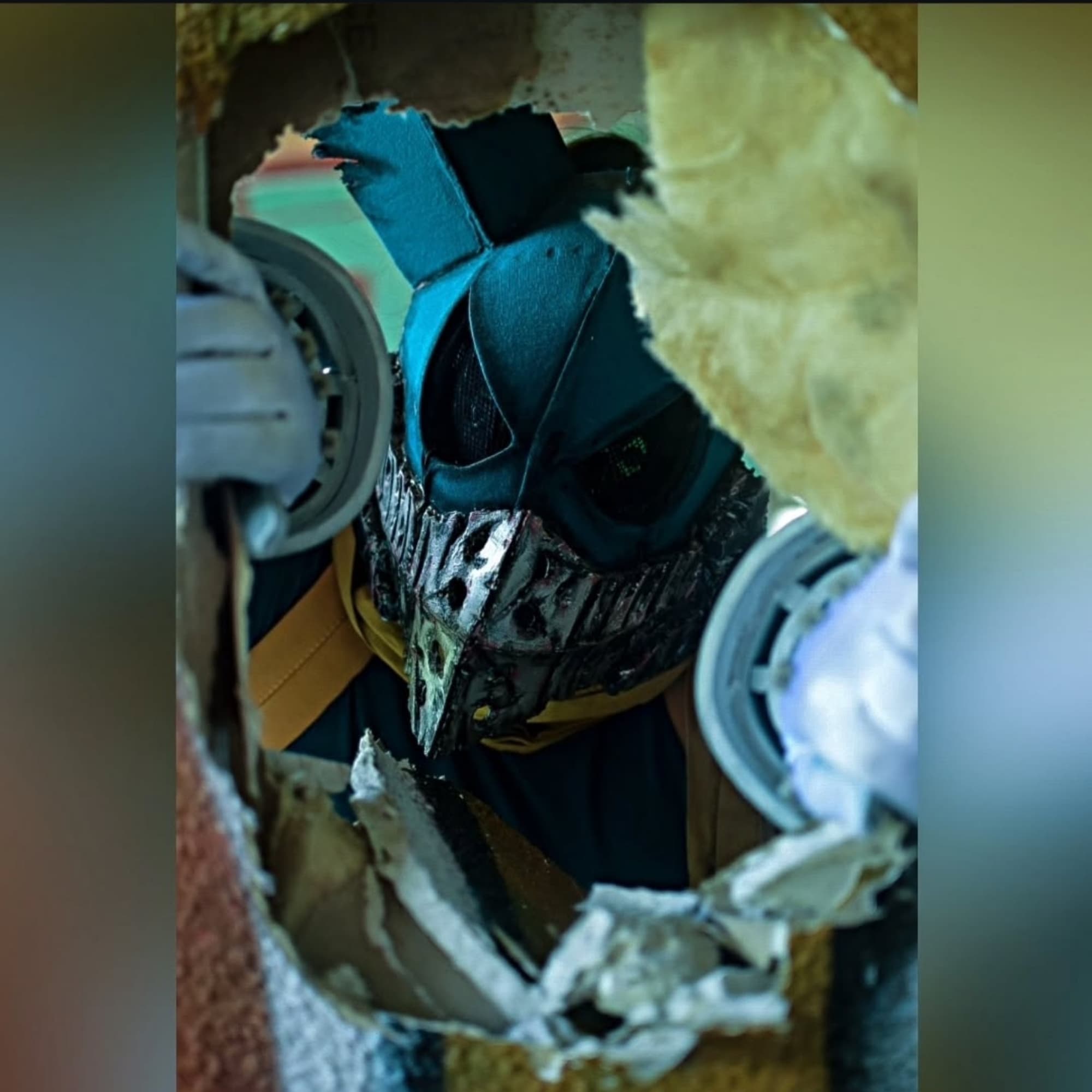 Deku  - Photo 3