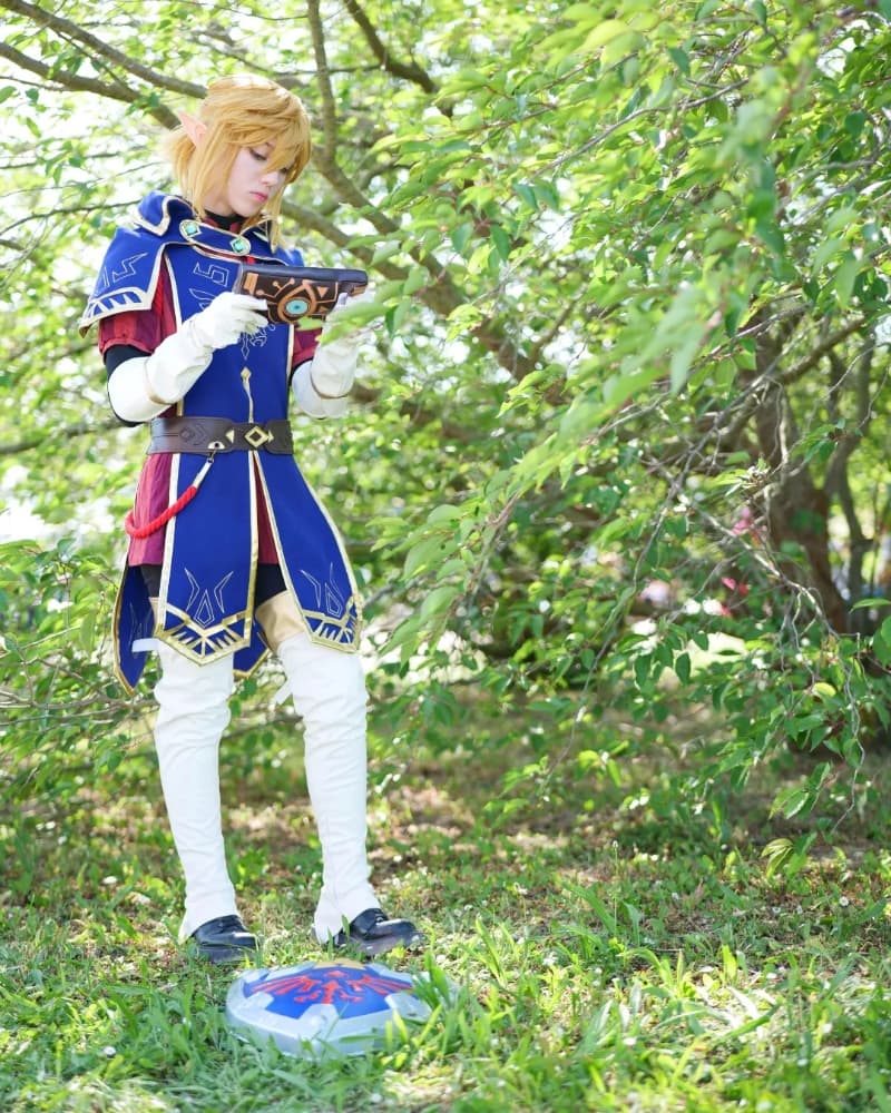 Link royal guard - Photo 7