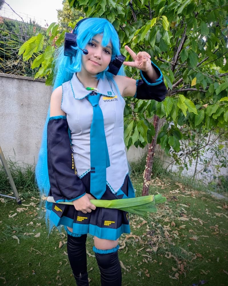 Hatsune Miku 6/25 - Photo 7