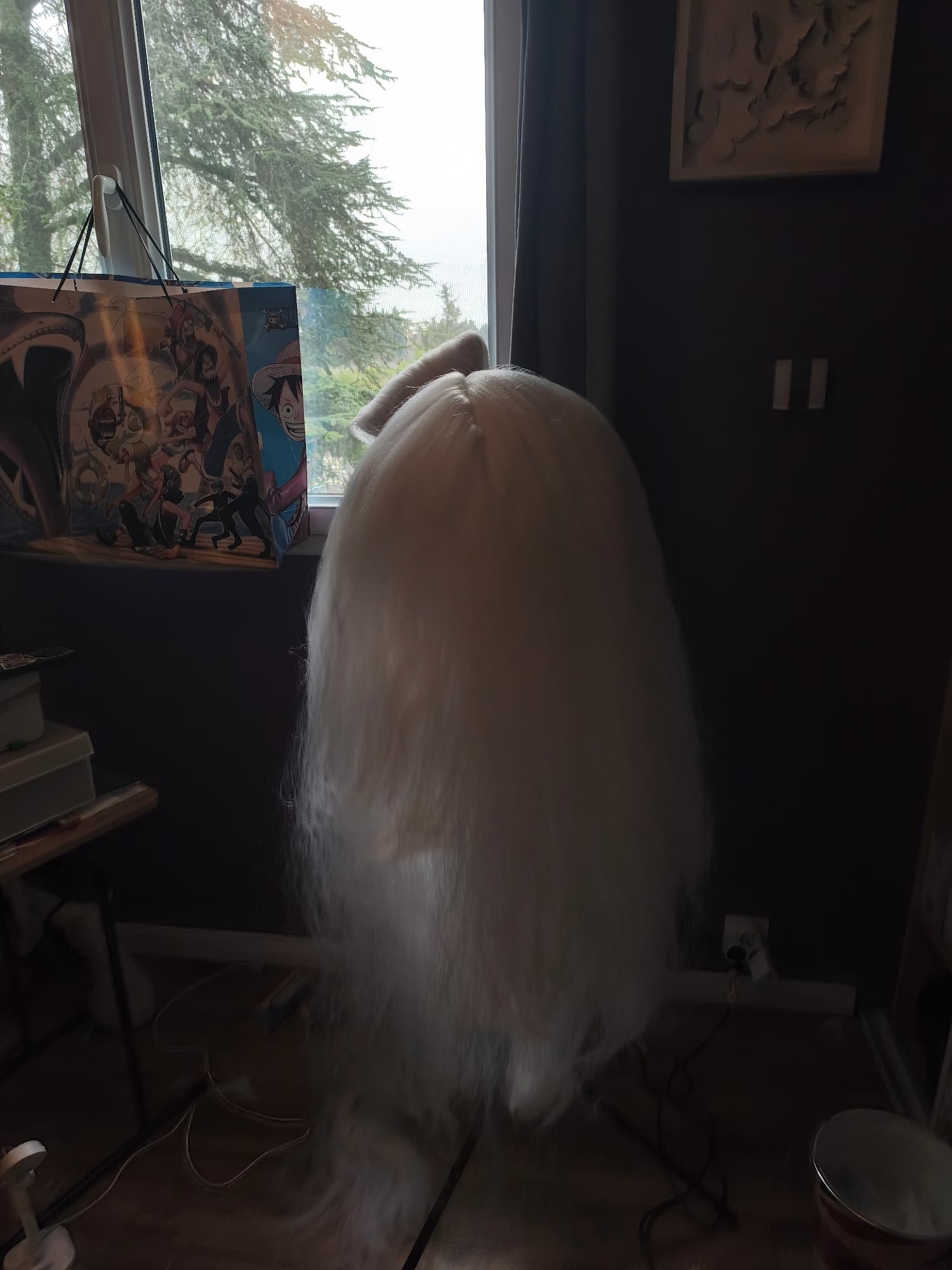 Création angel dust  - Photo 21