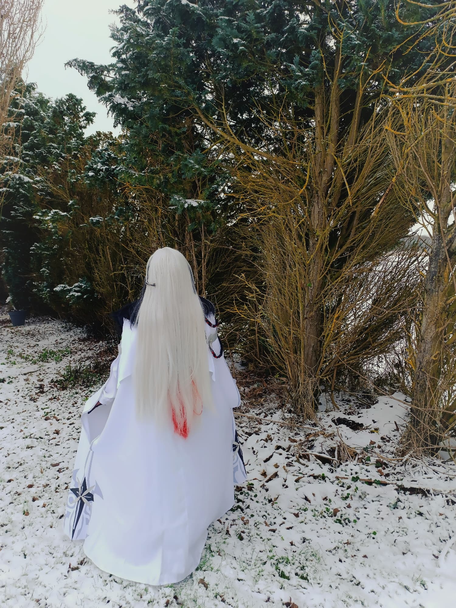 Arlecchino - Photo 5