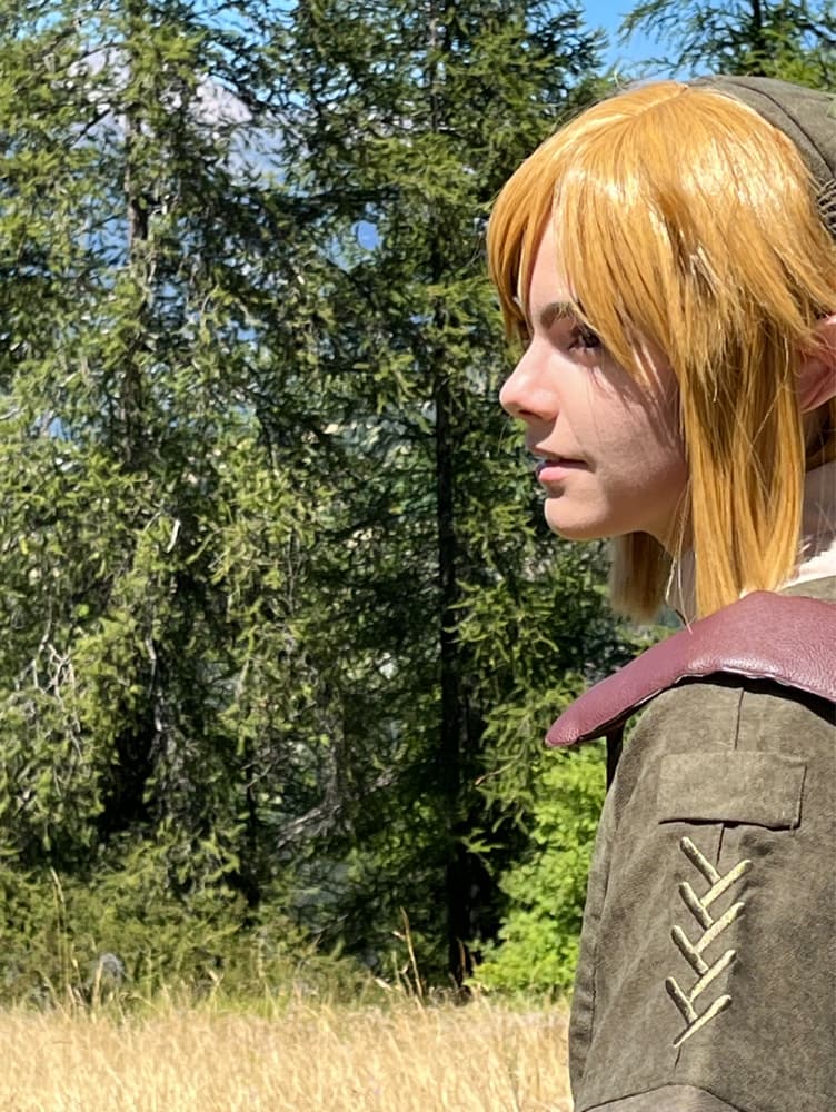 Link - Zelda TP - Photo 1