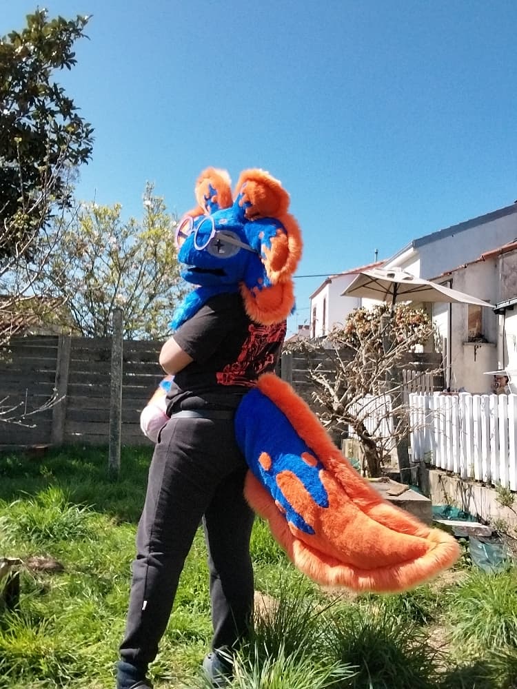 Stellar v2 - Photo 3