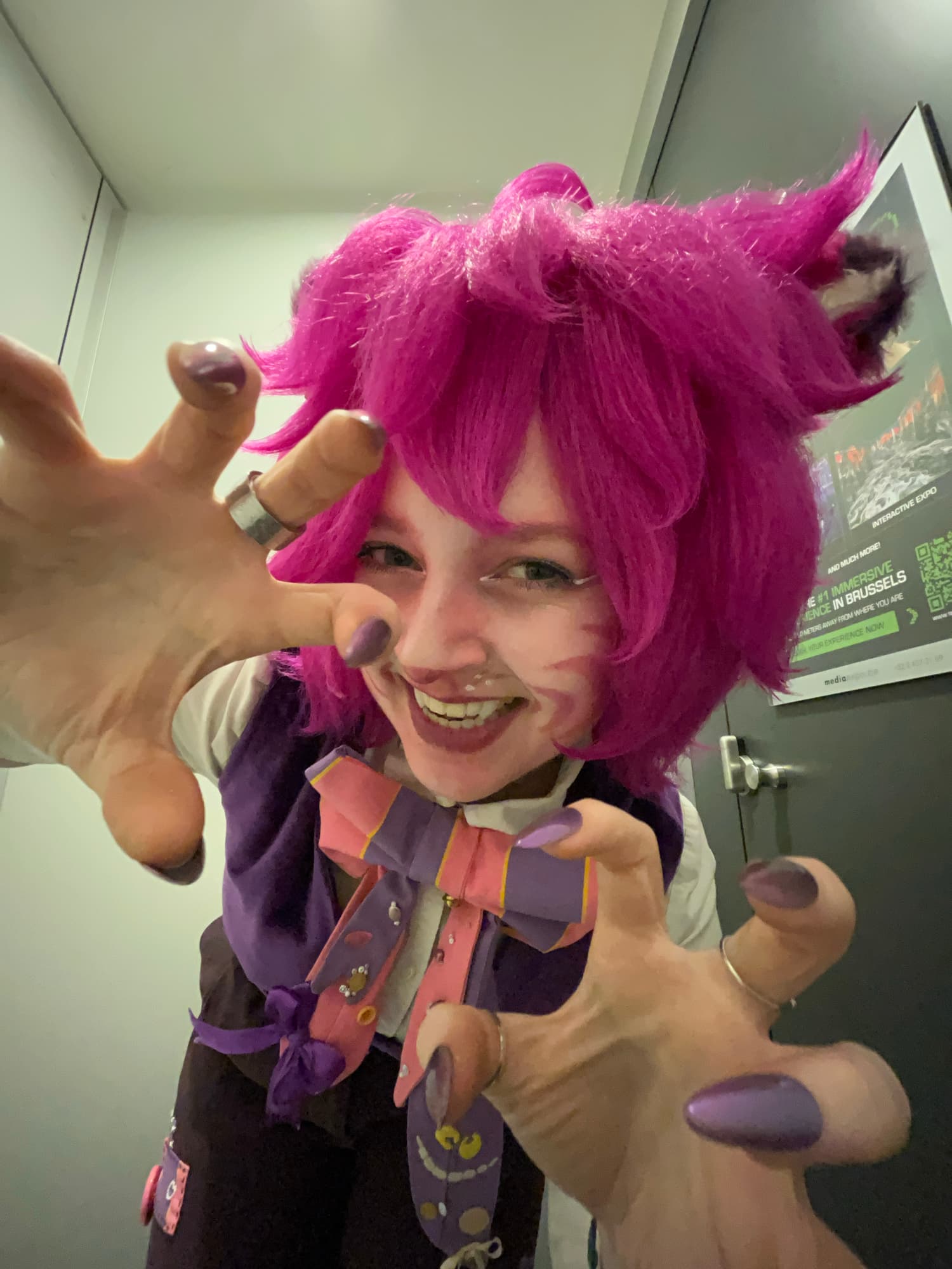 Chat de Cheshire - Photo 5