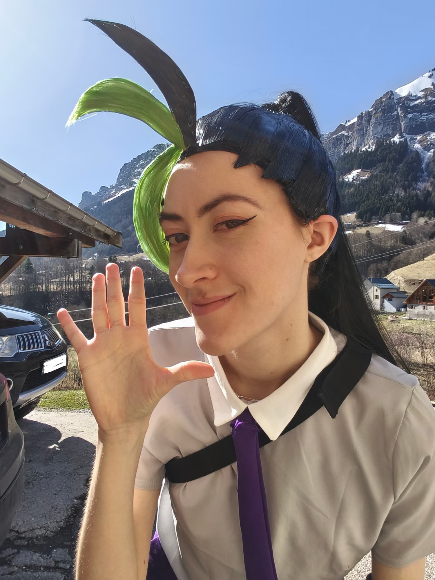 Menzi (V1) P2 - Photo 5