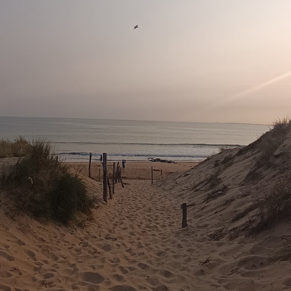 Ellie TLOU beach - The Last of Us cosplay photoshoot cover