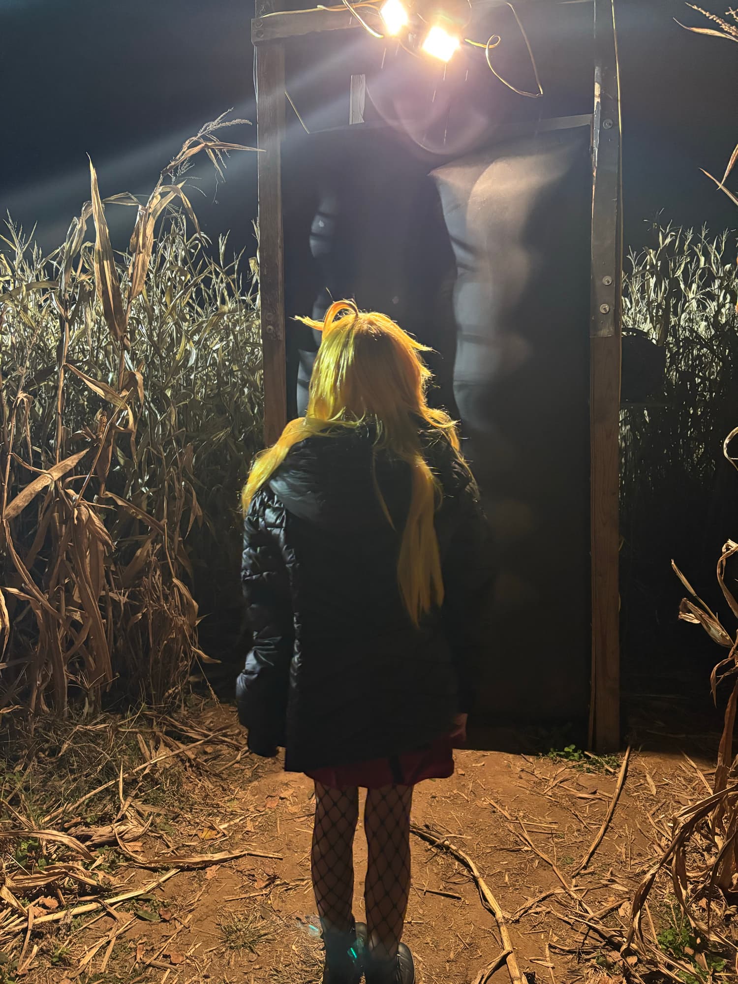 Panty Anarchy - Photo 2