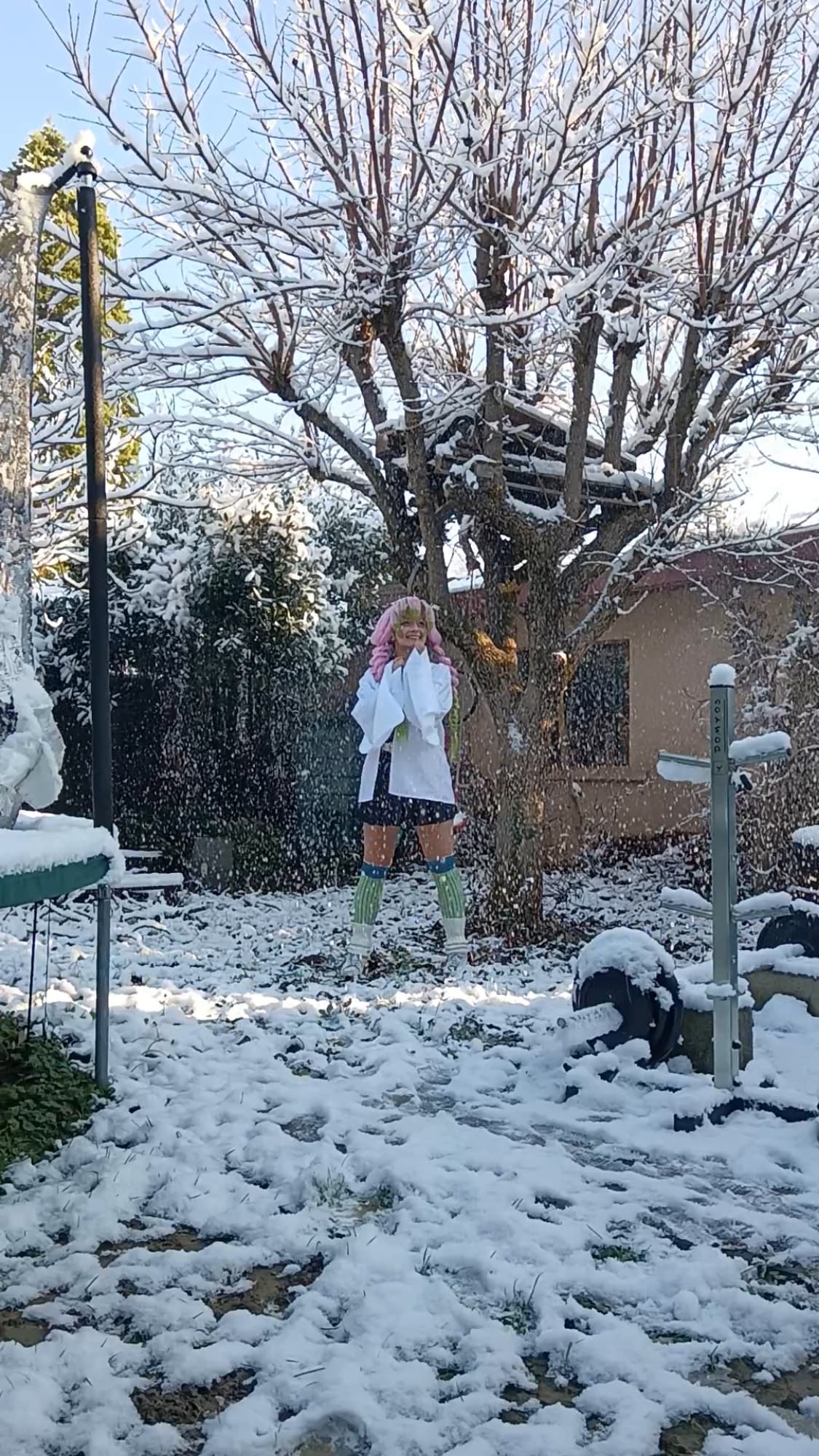 Mitsuri Kanroji - Photo 38