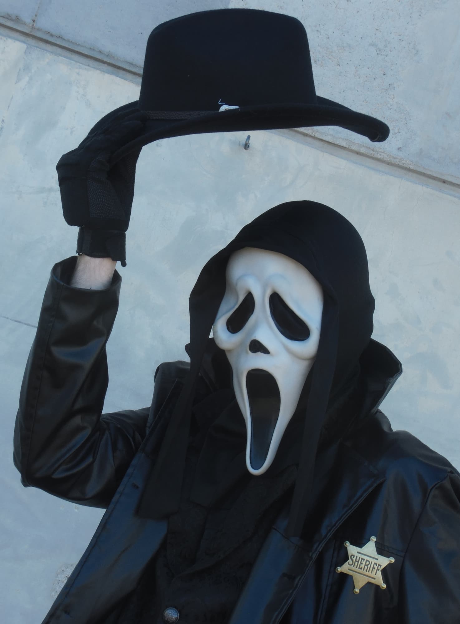 KamoPolis 2026 - Photo 5