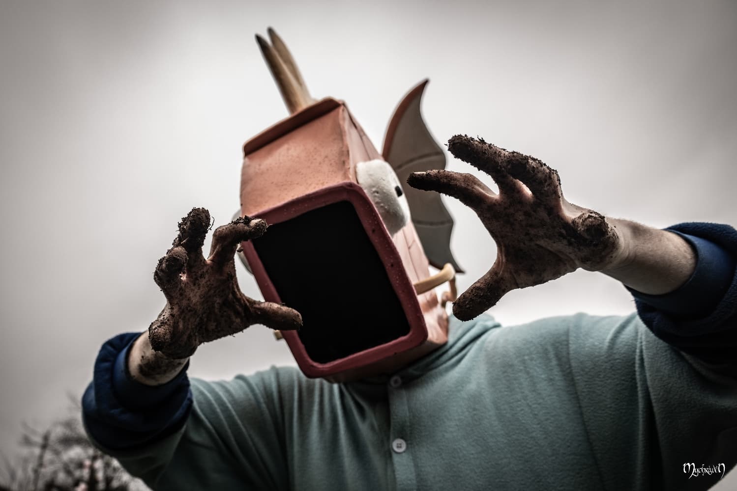 La plantation  - Photo 13