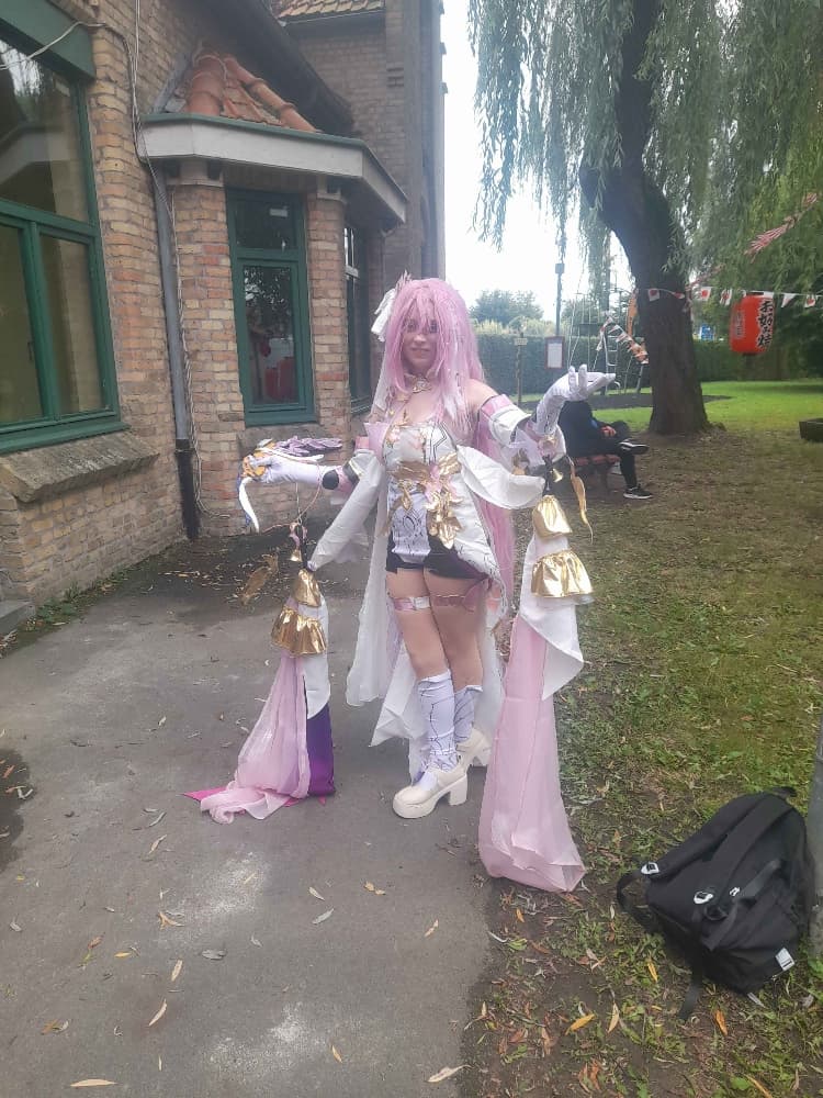 Elysia (Bailleul) - Photo 14