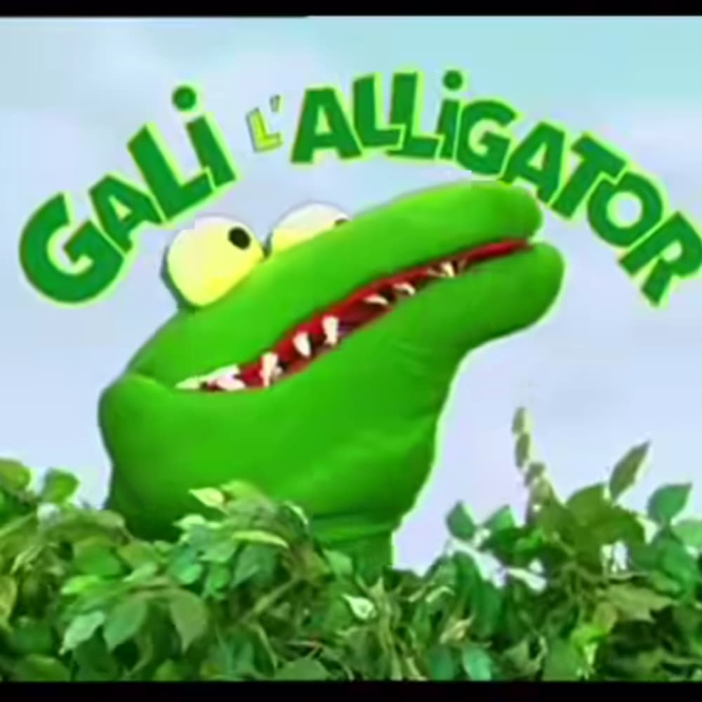Gali l'Alligator