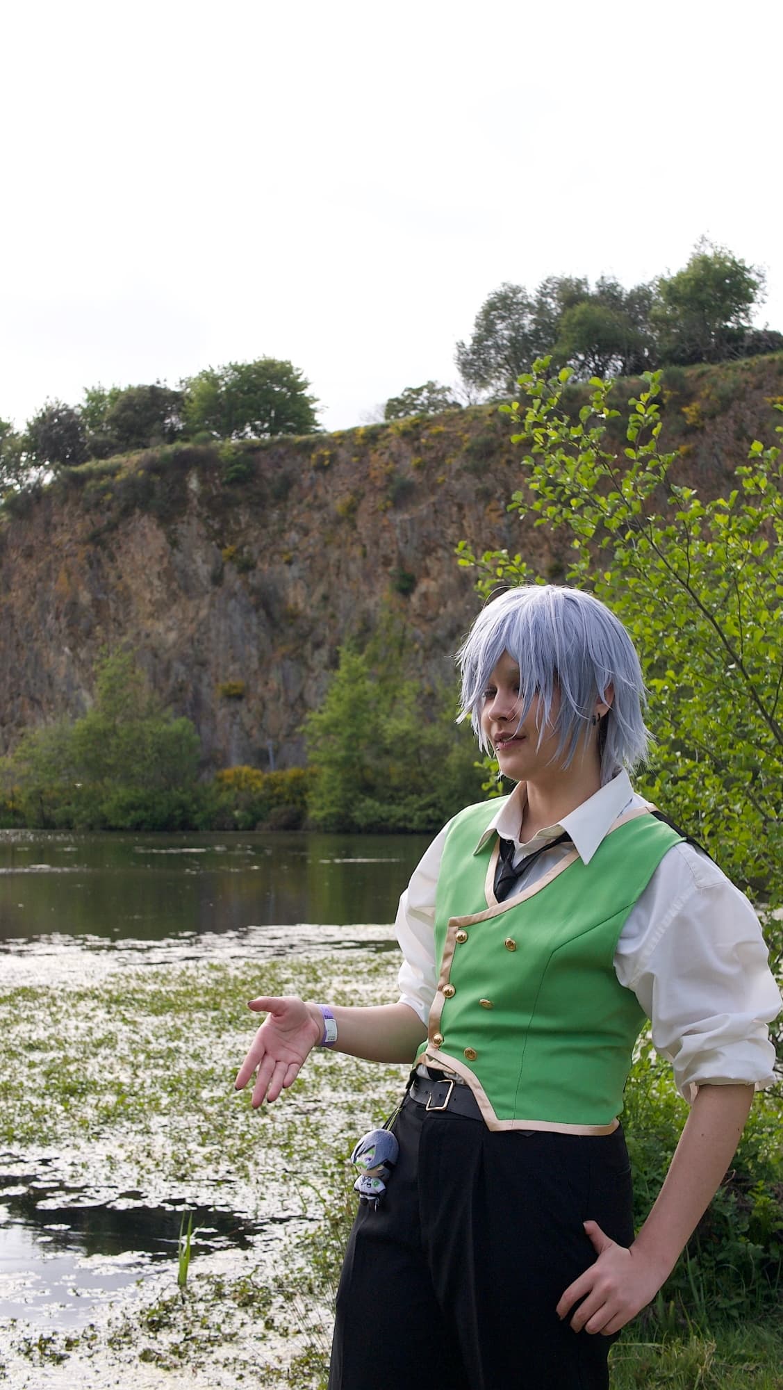 Silver japanantes - Photo 8