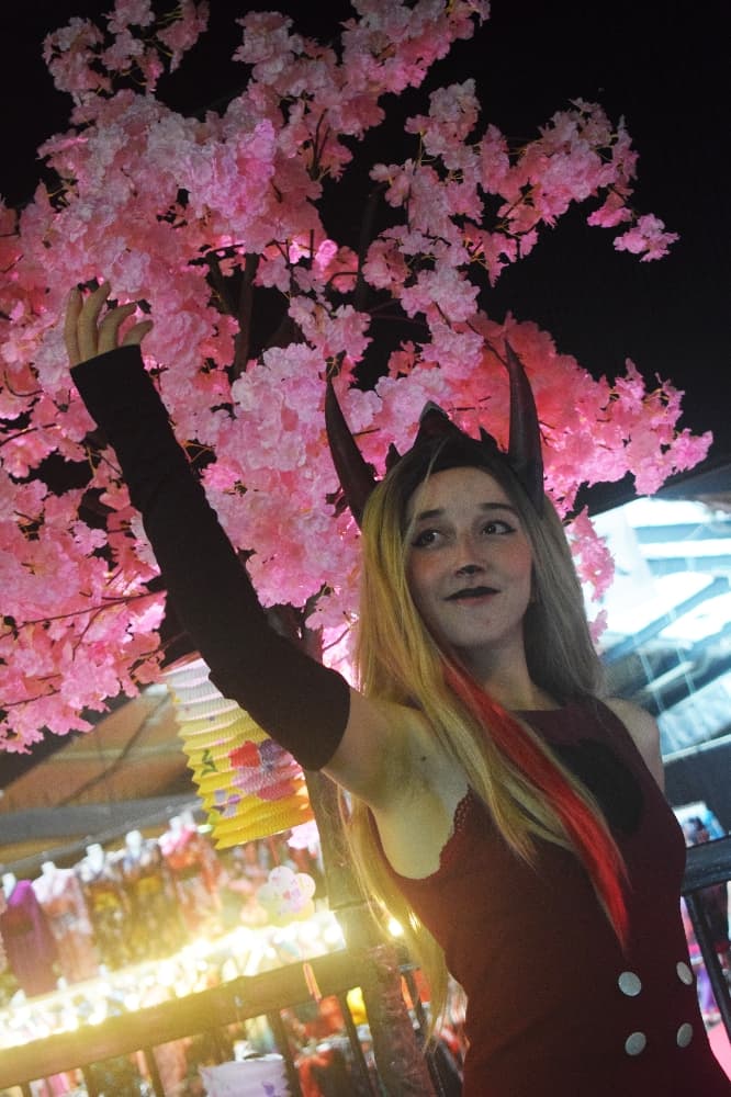 Charlie hazbin hôtel - Photo 19