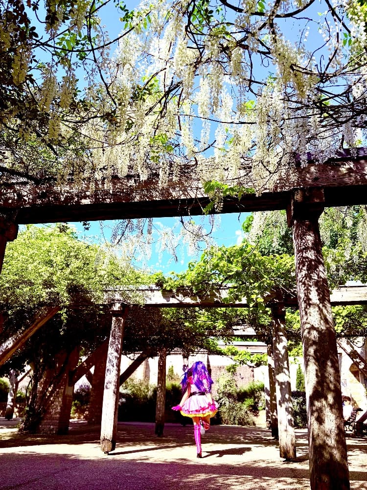 Ai Hoshino - Photo 1