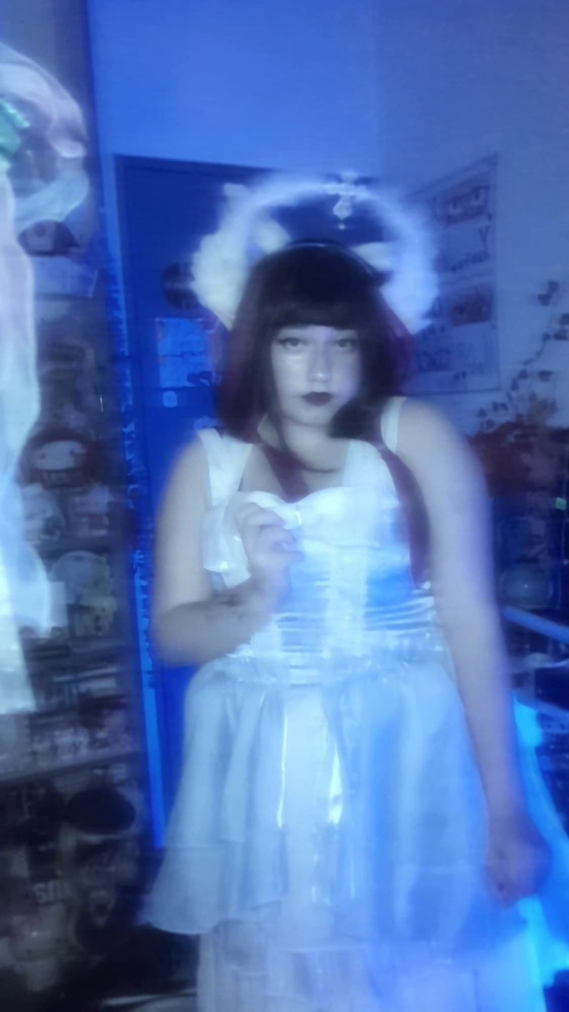 Columbina  - Photo 1