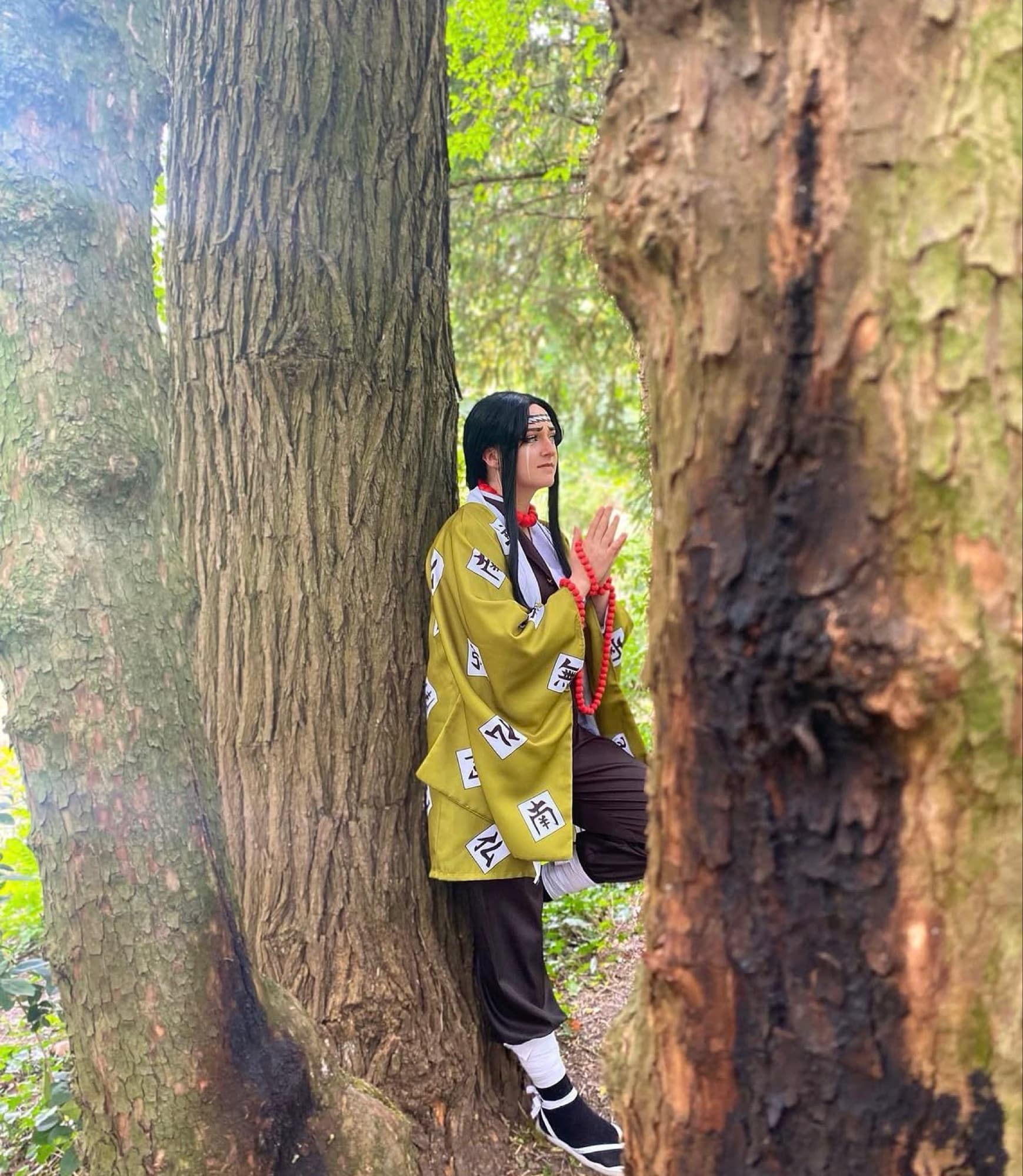 Gyomei Himejima