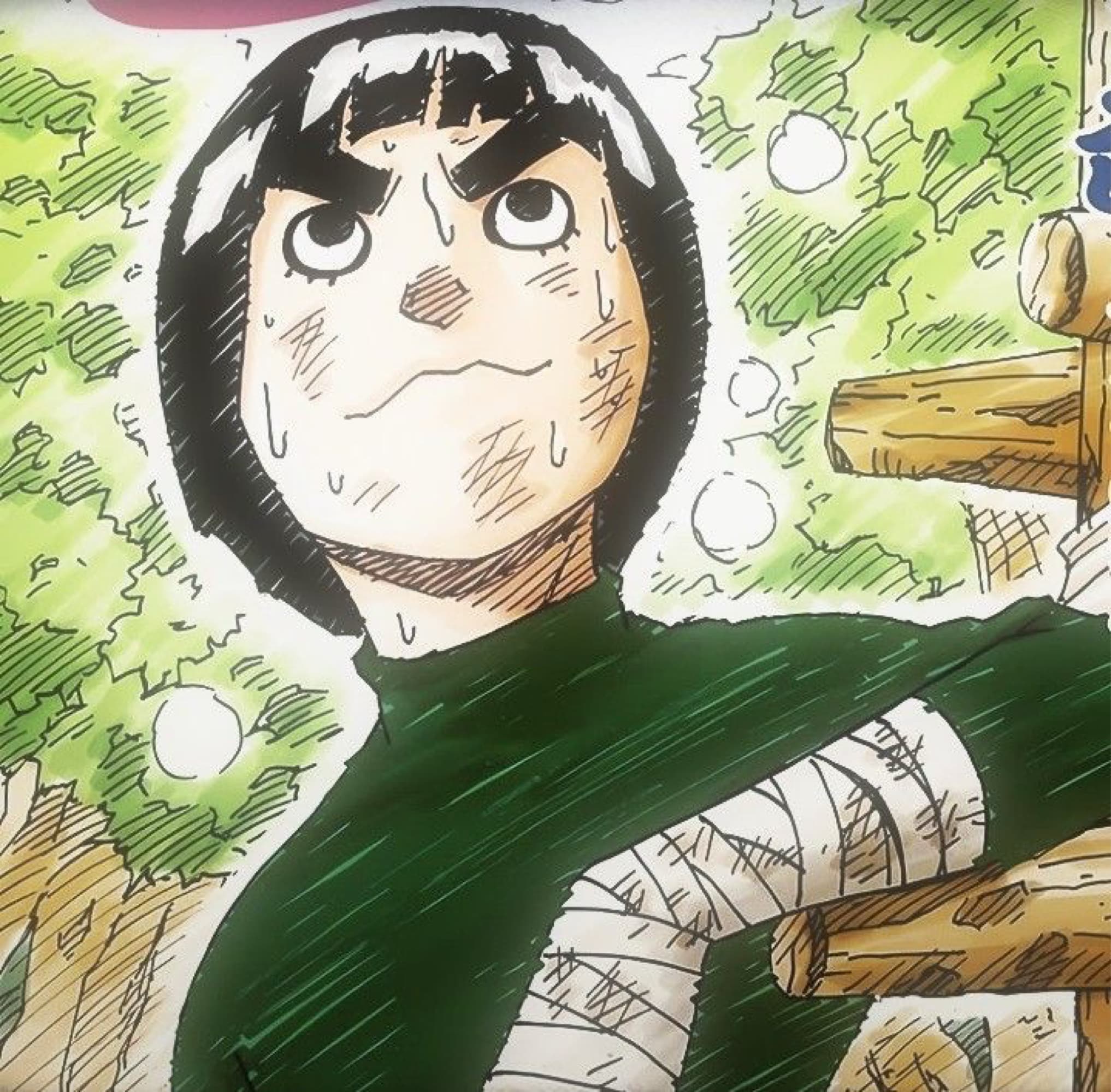 Rock Lee
