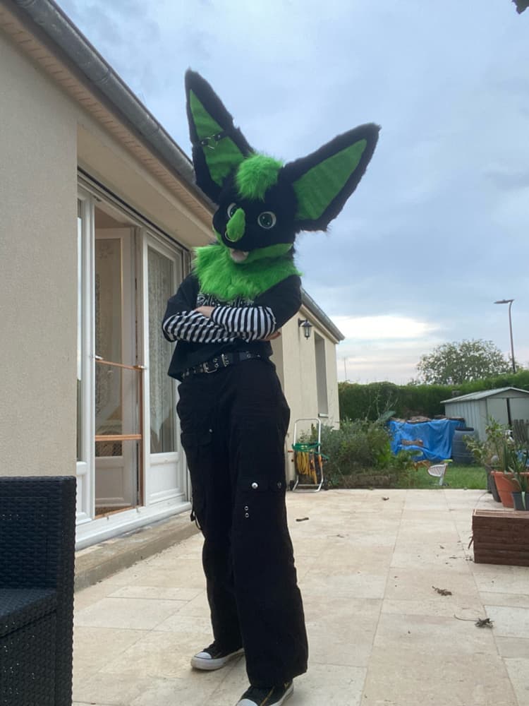 Photos Razzor - Photo 5