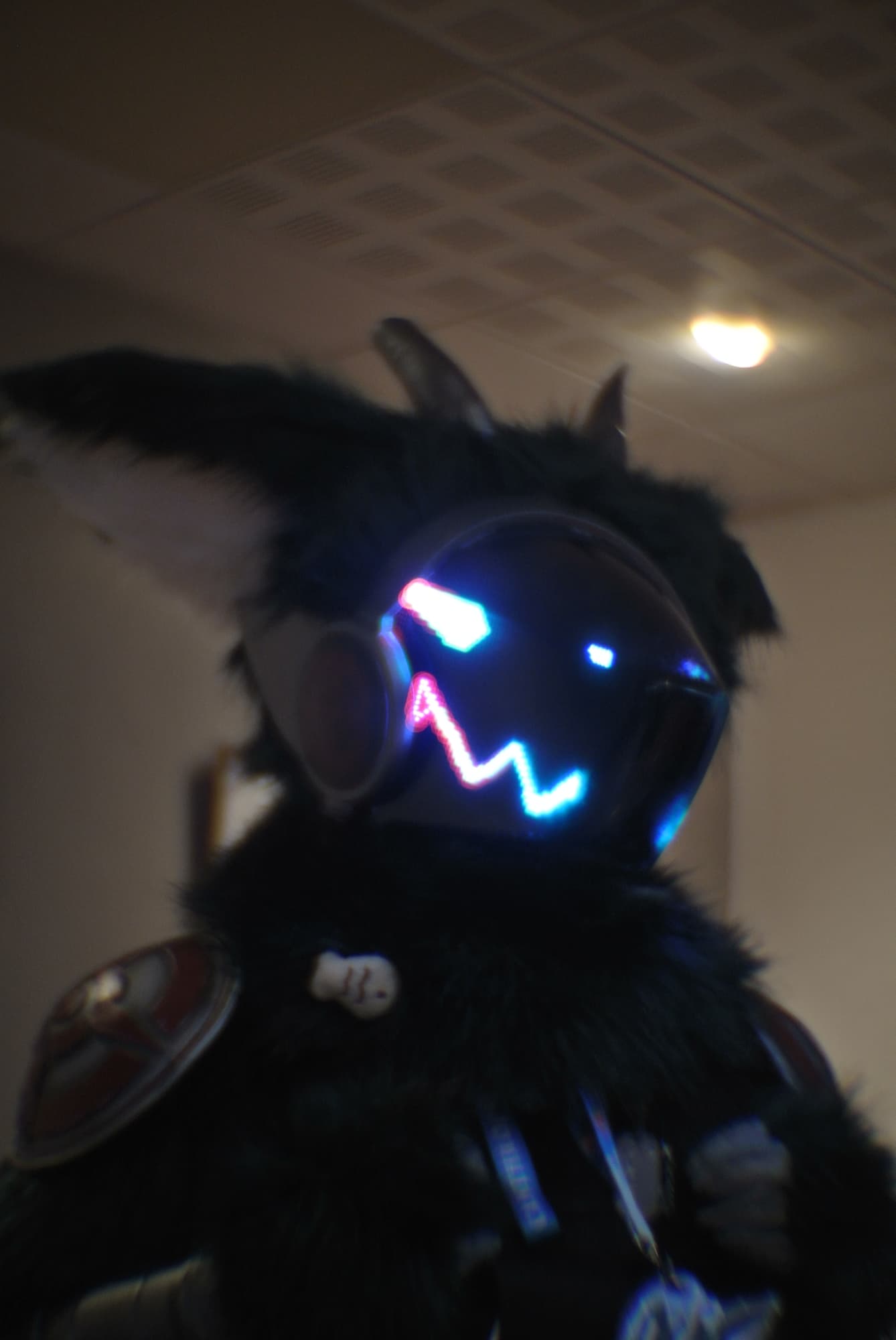 Canthrofur 2024 - Photo 4