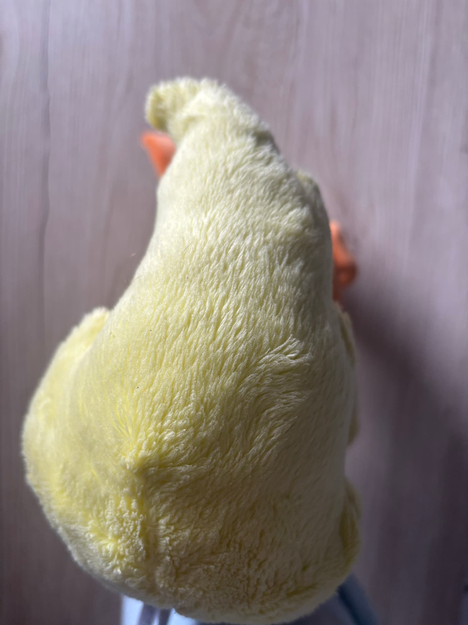 Evoli en Pyroli  - Photo 13