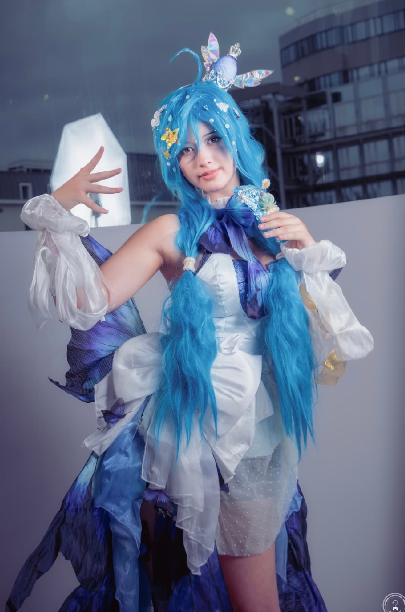 Miku butterfly - Photo 8