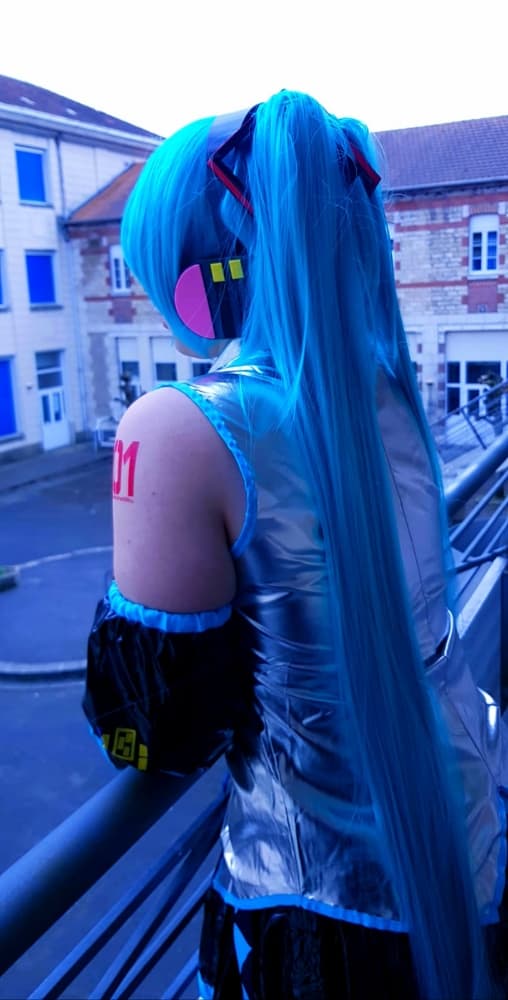 Hatsune miku  - Photo 17