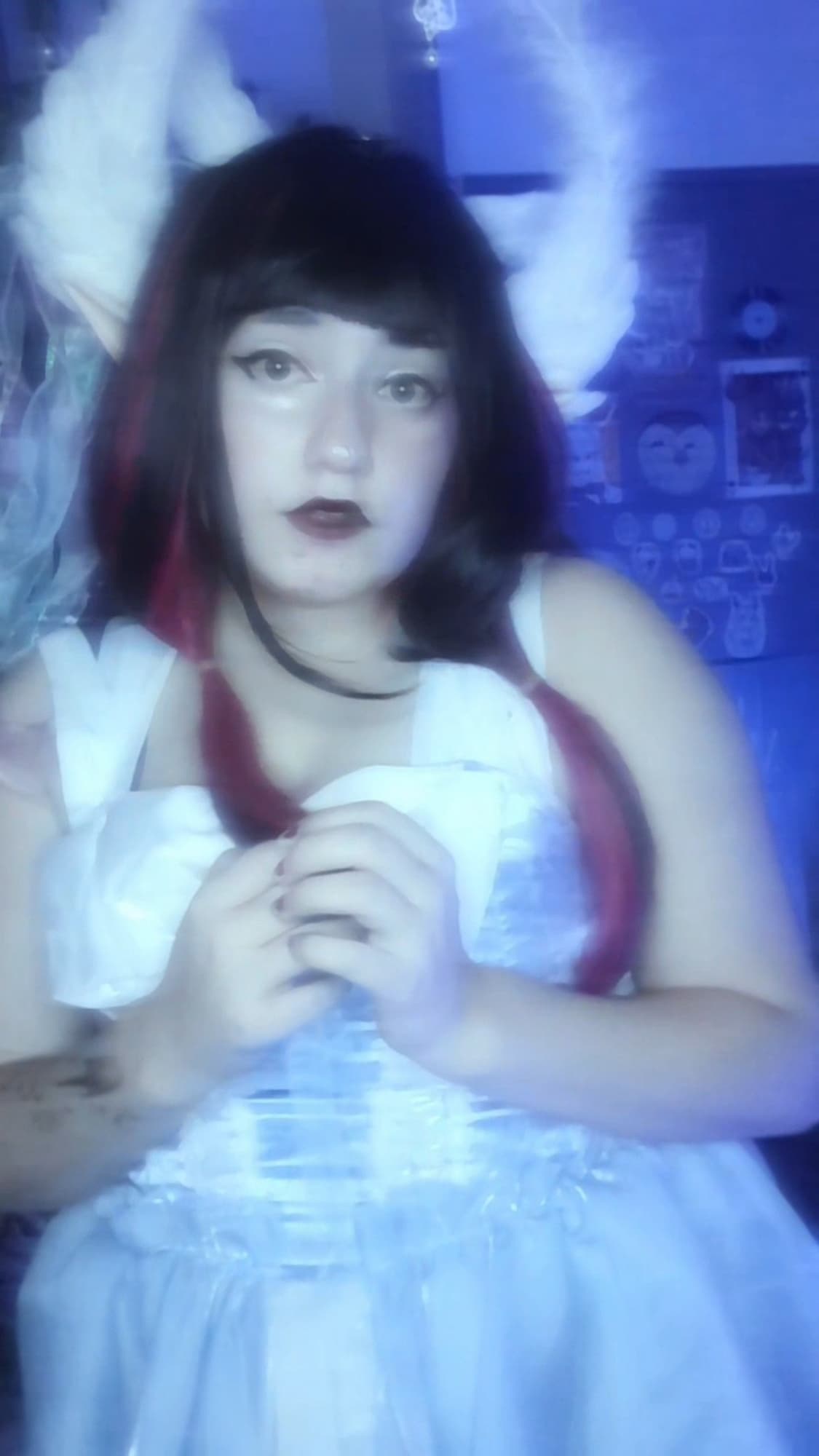 Columbina  - Photo 12