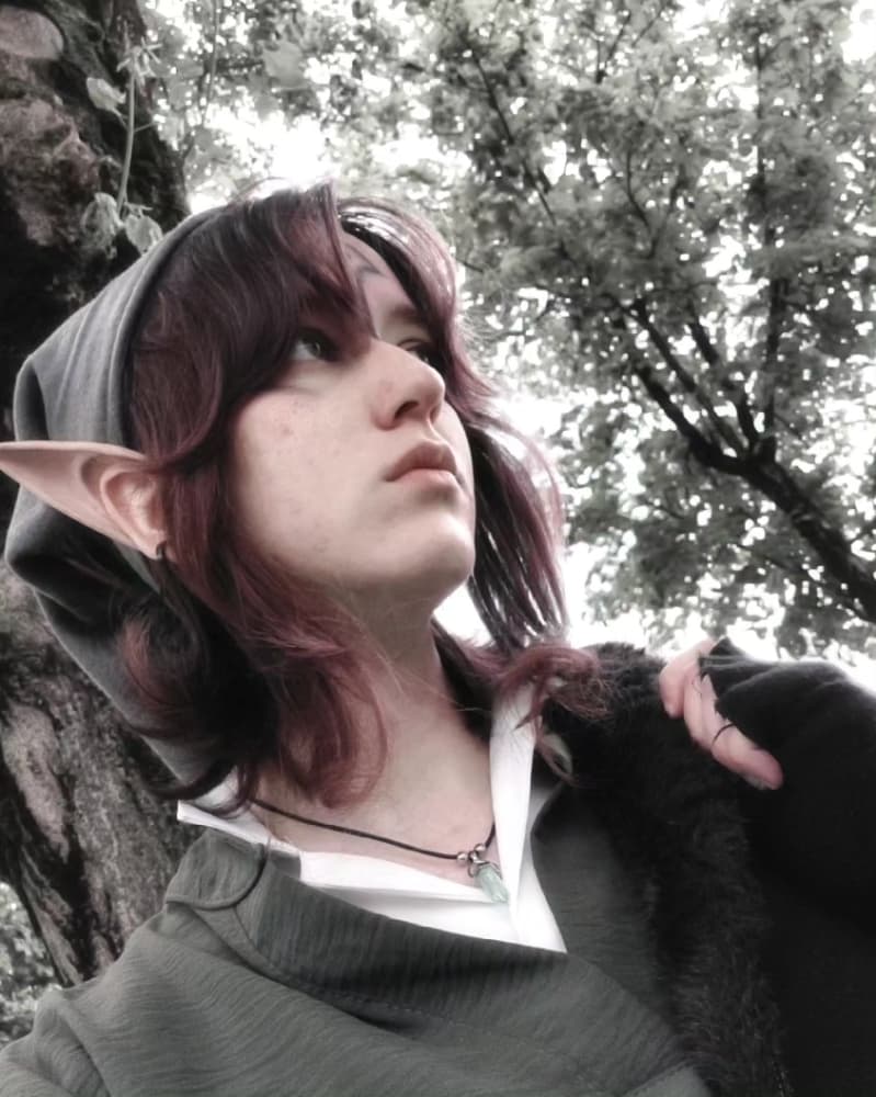 Tp Link (shadows) - Photo 3